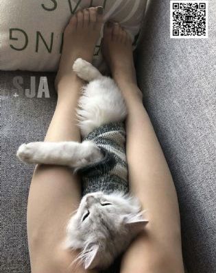 星辰在线_BD国语在线观看完整版
