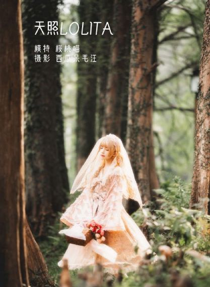 凉宫春日的消失_免费韩剧在线观看